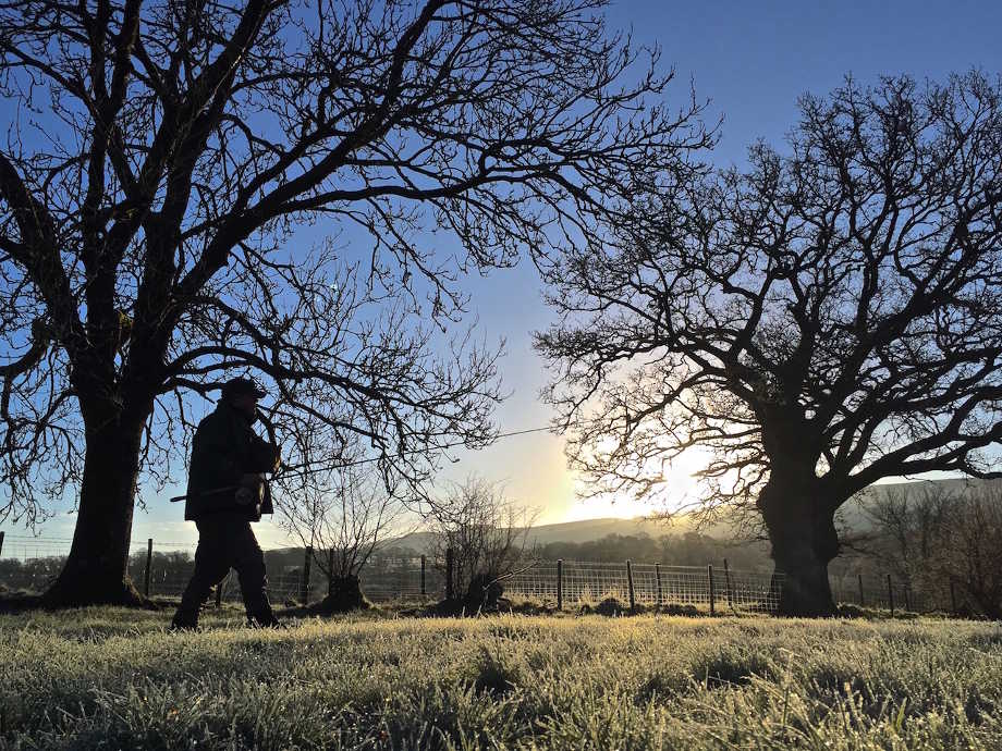 Frosty Morning