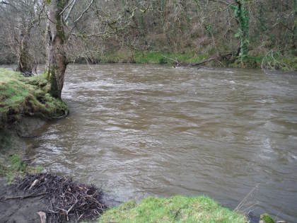 The Cefnllysgwynne beat in high water...