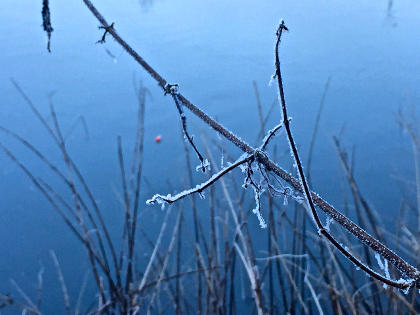 Winter made a brief appearance in January before the milder, wet conditions returned.