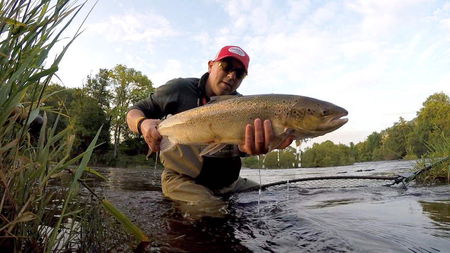 Airflo's Tim Hughes continued his impressive 2016 season on the Wye with this 8lb fish from the Rectory on the 22nd July