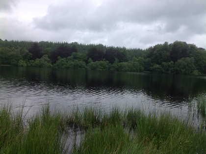 Llyn Gwgia