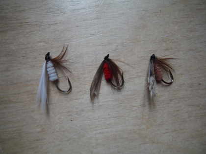 Bustard flies