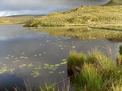 Llyn Bugeilyn