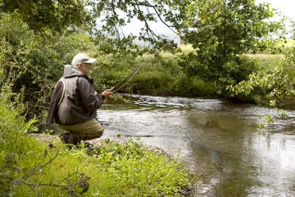 Oliver on the Hindwell Brook (Lugg tributary)