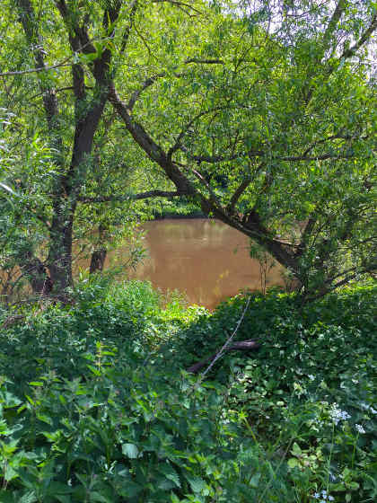 A typical early season swim