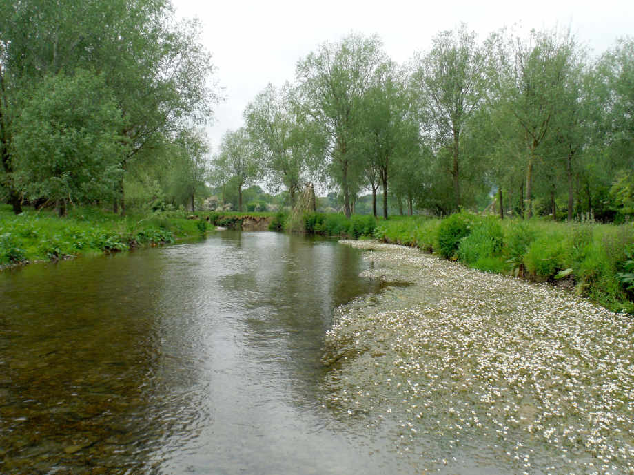 The Bucknell beat of the Teme this June