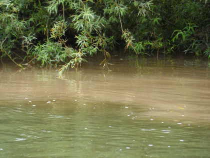 Field drain discharging into the lower Monnow