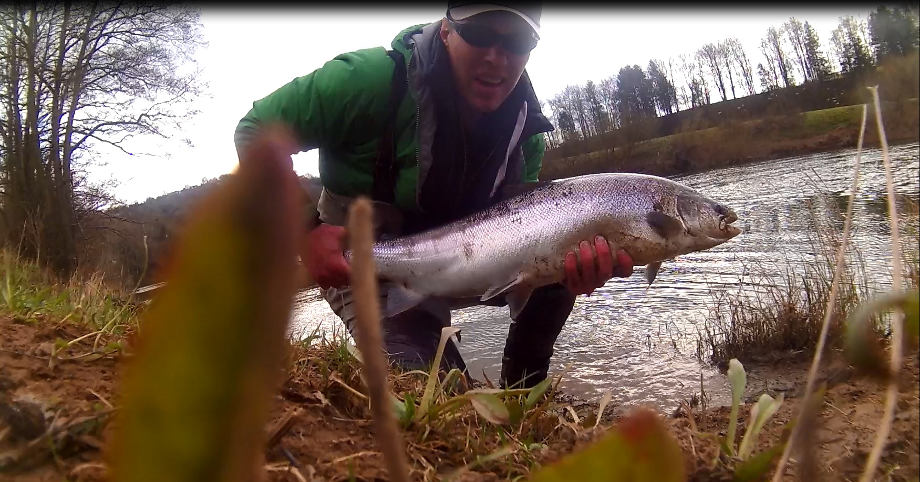 Ross James with his two 20lb Wye salmon in March, from Courtfield and Wyebank.(below)