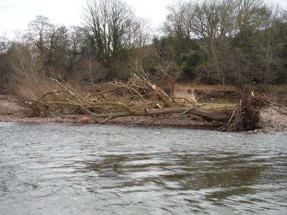 Winter flood damage on the lower Usk.