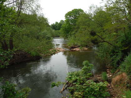 Lower Monnow at Monnow Valley