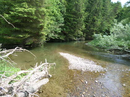 The Bucknell beat of the Teme. Photo: David Cooksey