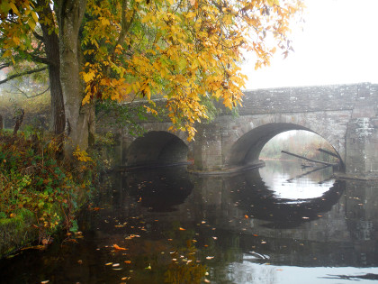 Court of Noke in the mist (river Arrow)