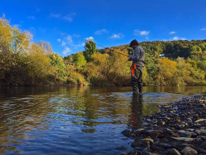 Trotting for chub on the Wye in October