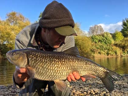 A good autumn chub from the Wye