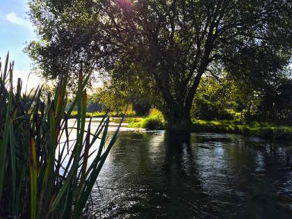 Autumn river scene