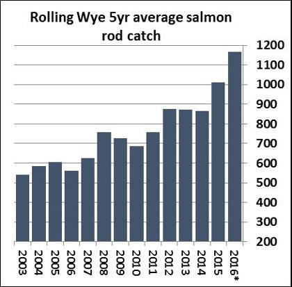 Rolling Wye 5yr average salmon rod catch