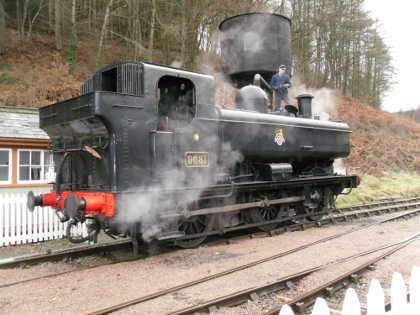 Steam in the Cannop Valley