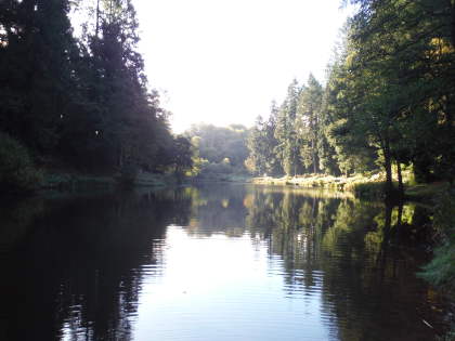 Forest of Dean syndicate lake