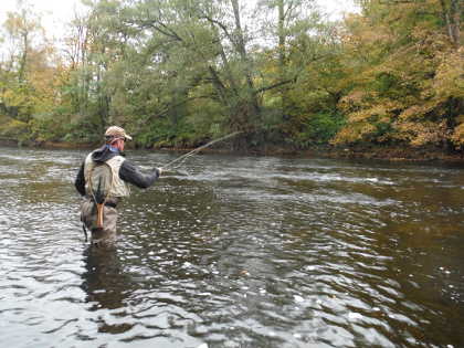 Dry fly fishing on the upper Wye in October