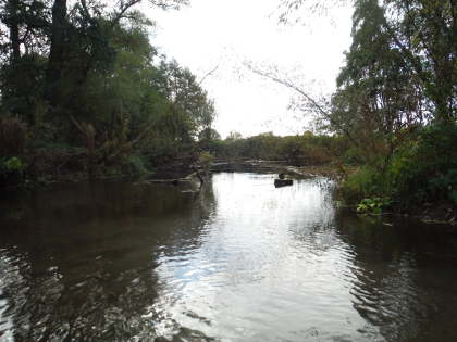 Low water in the Eyton jungle.