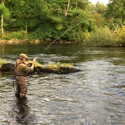 Robert Wheatcroft playing a 10lb salmon in the Mill Race of the Rectory on the 23rd September.