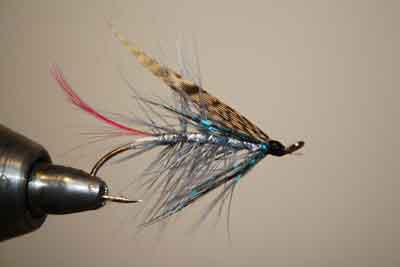 seatrout fly