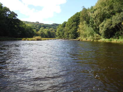 The upper Wye running high