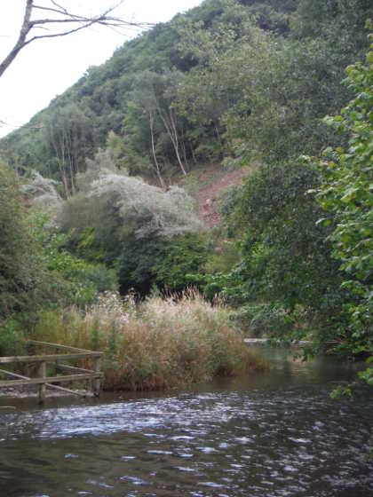 The Lyepole beat of the Lugg in summer.