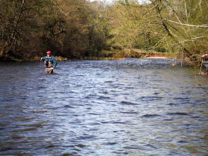 Lyn davies fishes with spiders again