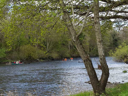 Illegal canoeing