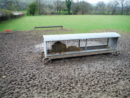 Feed bin - appropriately sited