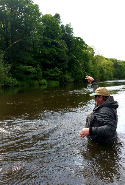 Greys Streamflex 9ft 4wt in action