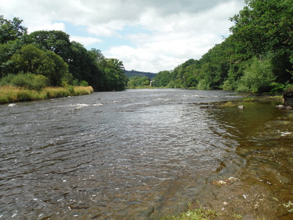 Head of Glangwye Pool, upper Wye