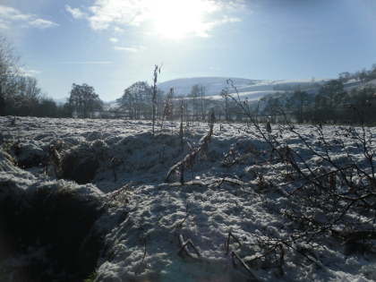 The Wye and Usk Foundation