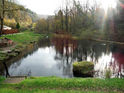 Tinmans Green fishing at Redbrook