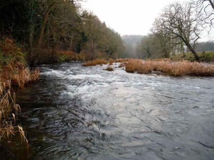 Glasglyn Pool