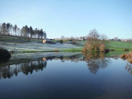 Woolaston Court Fishery