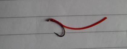 Bloodworm