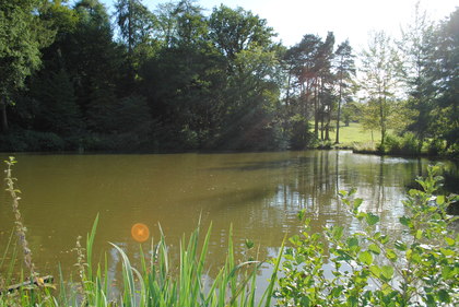 Trelough Pool