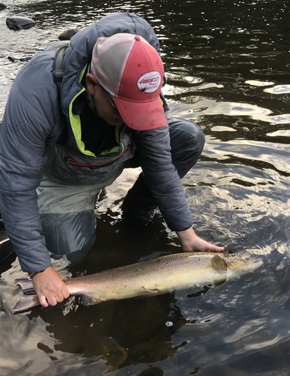 Tim Hughes releasing a 15lb July salmon from the same beat.