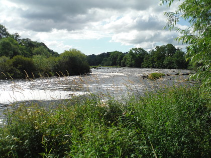 Rectory beat - head of Millstream