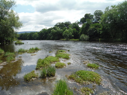 Lower Glangwye Pool on the Upper Wye