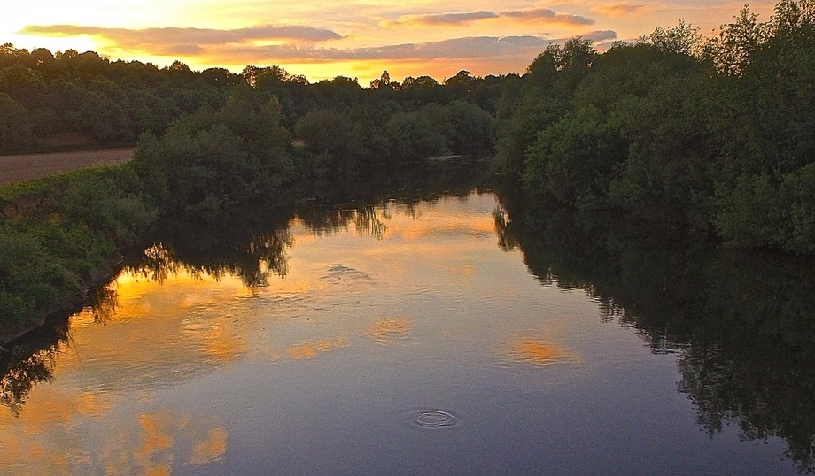 Chub sipping mayfly during a Wye sunset