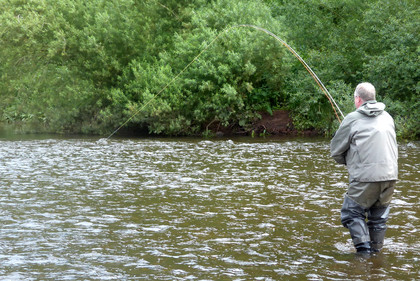 Richard Kingston into a June fish on the middle/lower Usk.