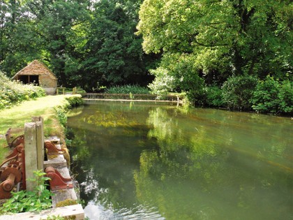 Chalk Stream day on the Avon