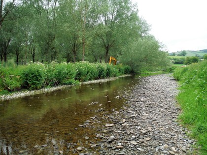 Bucknell - barely half a river