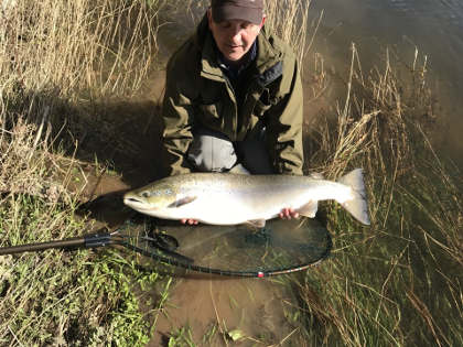 Steve Dawes Salmon