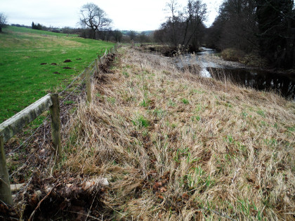 Upper Monnow leaves