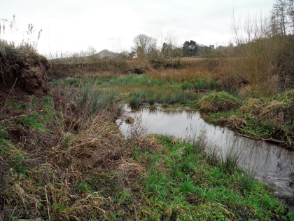 Upper Monnow Oxbow