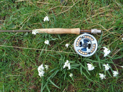 Brecon Snowdrops